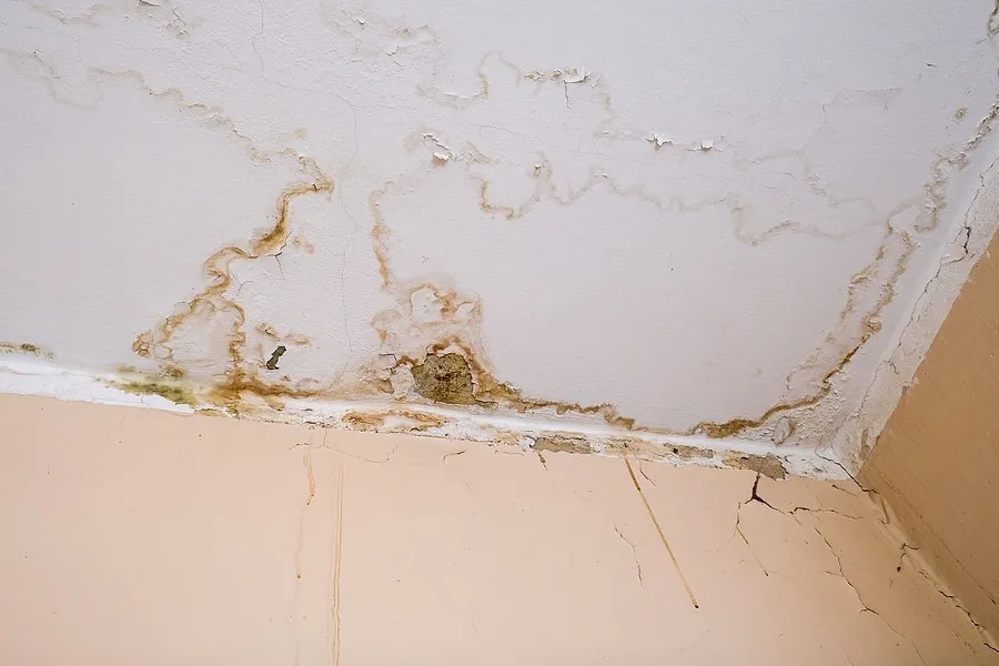 Water Leak Detection
